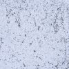 PLASTER - Image 3