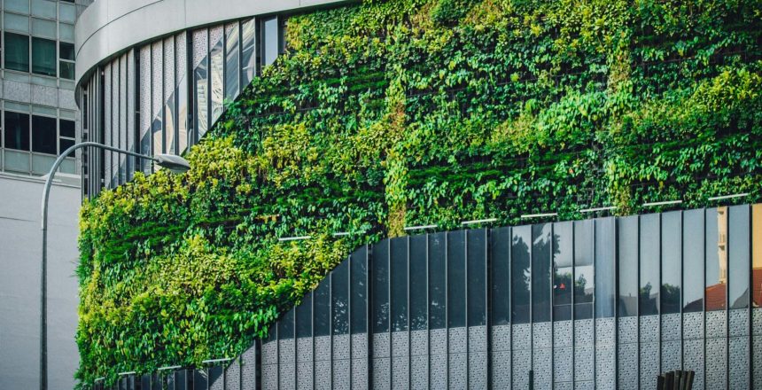 lily-banse-nQ3tG1t8eJg-unsplash Bioedilizia 2025: novità, incentivi e materiali naturali